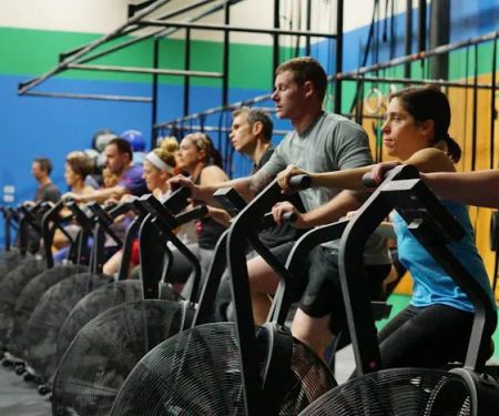 Optimal Training Gym - OTG