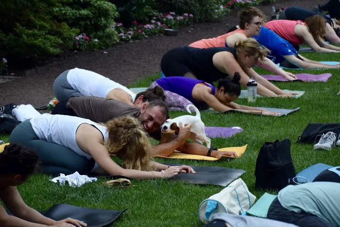 Amrita Yoga and Wellness Picture 1
