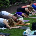 Amrita Yoga and Wellness