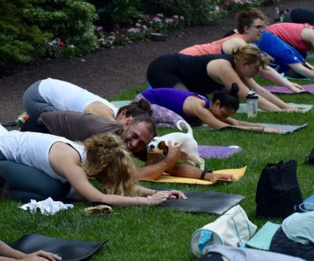 Amrita Yoga and Wellness