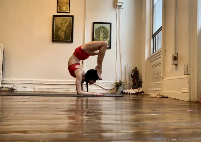 Ashtanga Yoga Philadelphia Picture 6
