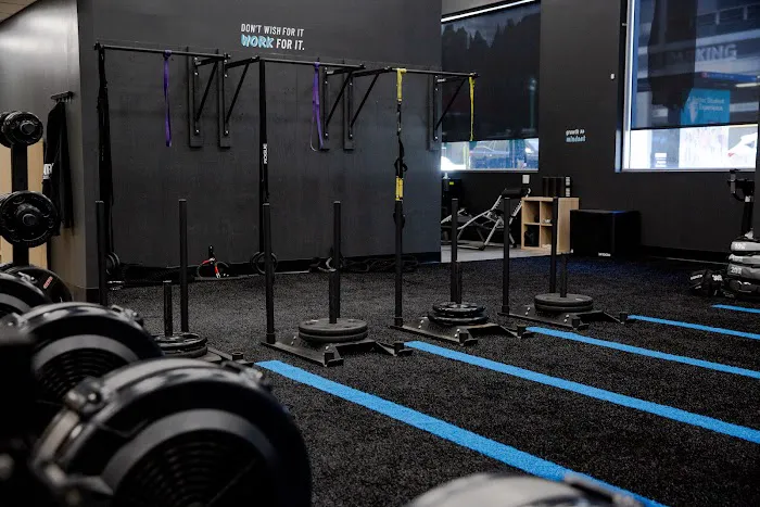 Arena Fitness & Performance Picture 7