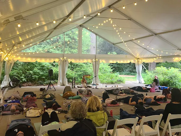 Eunmi's Sound Healing & Yoga Picture 3