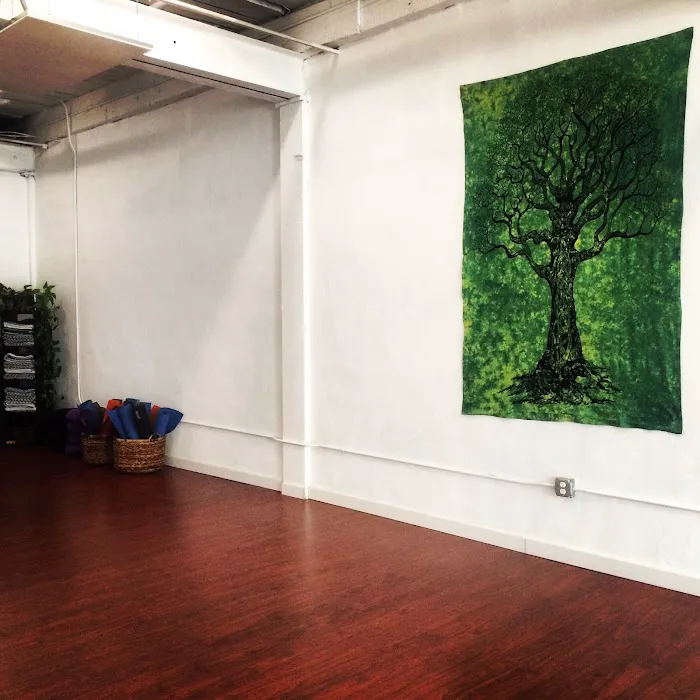 SANKHYA Yoga School & Wellness Center Picture 3