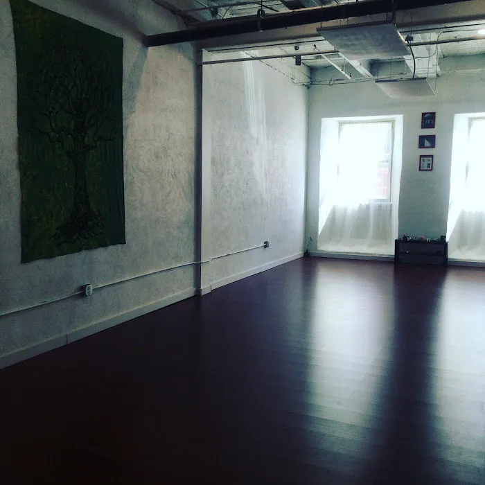 SANKHYA Yoga School & Wellness Center Picture 4
