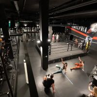 10 Hands Fitness + Fight Sports ico