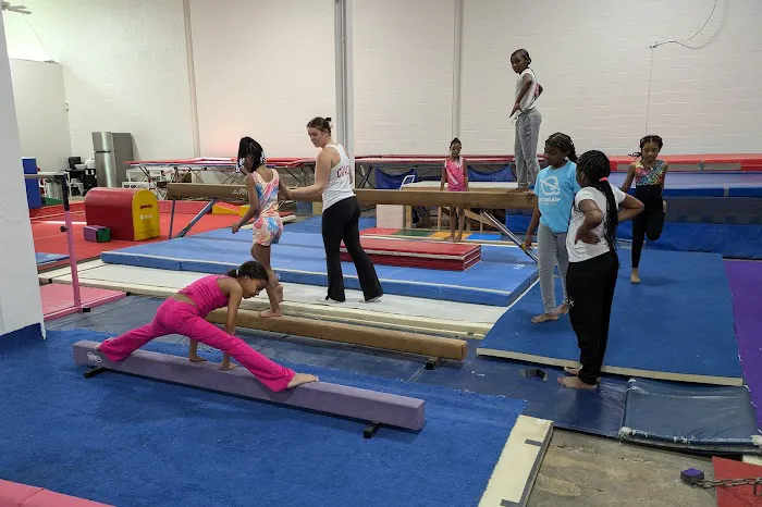 Philadelphia Boys' and Girls' Gymnastics Picture 2