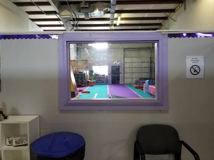 Stafford Gymnastics & Recreation Center Picture 5