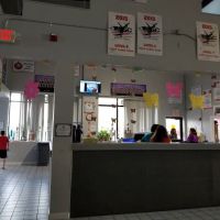 Stafford Gymnastics & Recreation Center ico