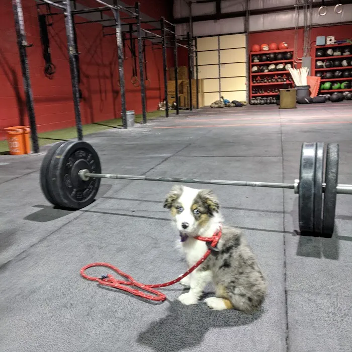 Rappahannock Strength and Conditioning Picture 10
