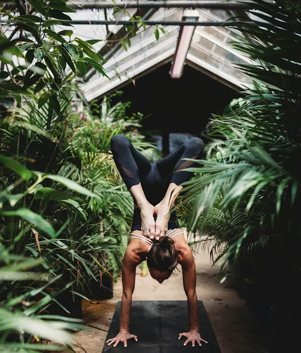Philadelphia Ashtanga Yoga Picture 4