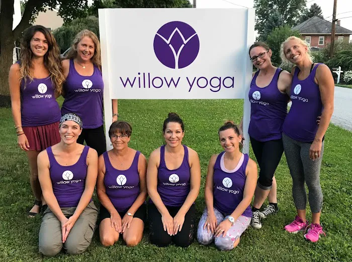 Willow Yoga Studio Picture 9