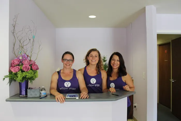 Willow Yoga Studio Picture 8