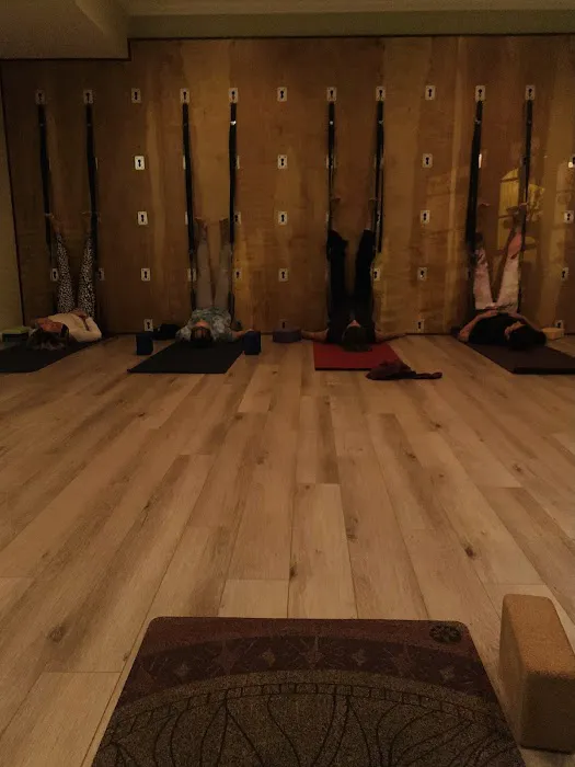 Zen Squirrel Picture 2