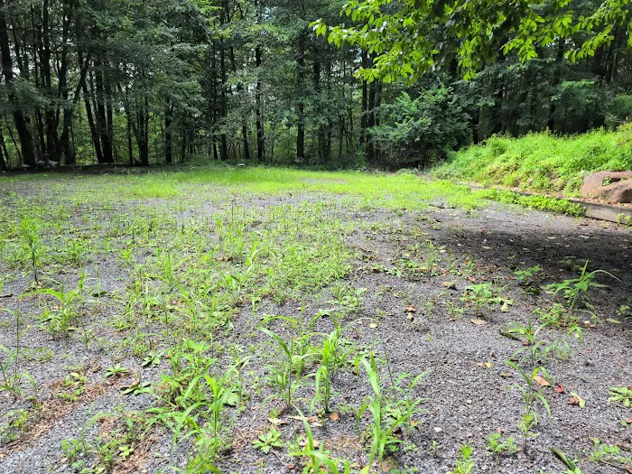 Boulder Ridge Retreat Picture 6