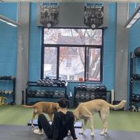 Kyle Myers Fitness ico