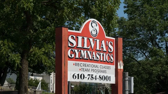Silvia's Gymnastics Picture 3