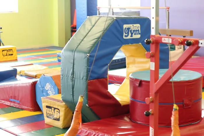 The Little Gym of Marlton Picture 4