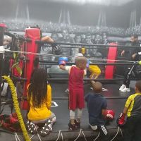 Maleek Jackson Boxing ico