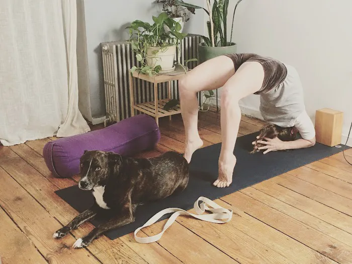 Gabrielle Sigal Iyengar Yoga Picture 8