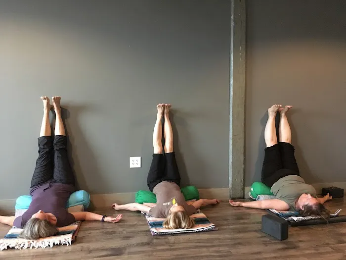 Gabrielle Sigal Iyengar Yoga Picture 5
