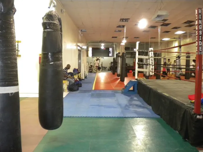 Fight Firm Muay Thai Boxing Gym Picture 5