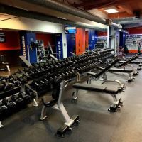 Optimal Sport 1315 - Gym ico