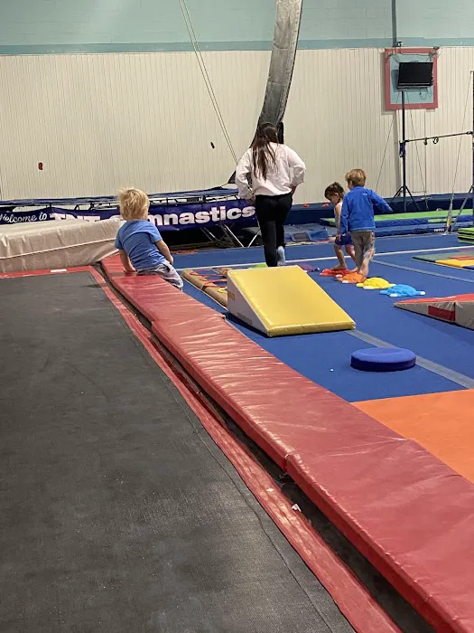 TNT Gymnastics & Cheerleading Picture 8