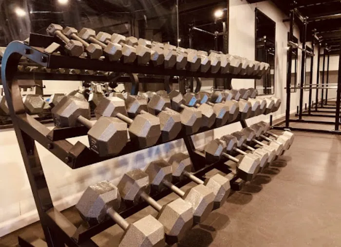 Iron Works Fitness Picture 1