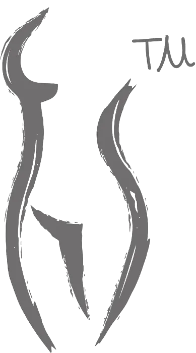 The SHAPED Studio Picture 1