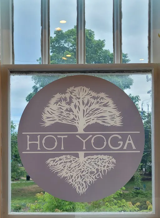 Dragonfly Hot Yoga Picture 7