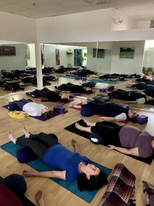 The Yoga Room Picture 1