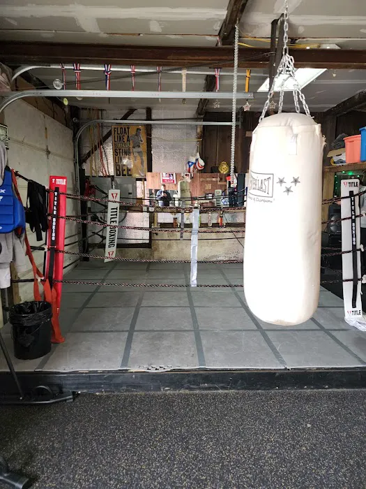 Hit hard Boxing Picture 4