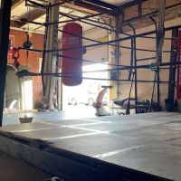 Hit hard Boxing ico