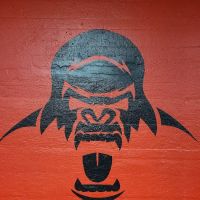 Gorilla Strength Health and Fitness LLC ico