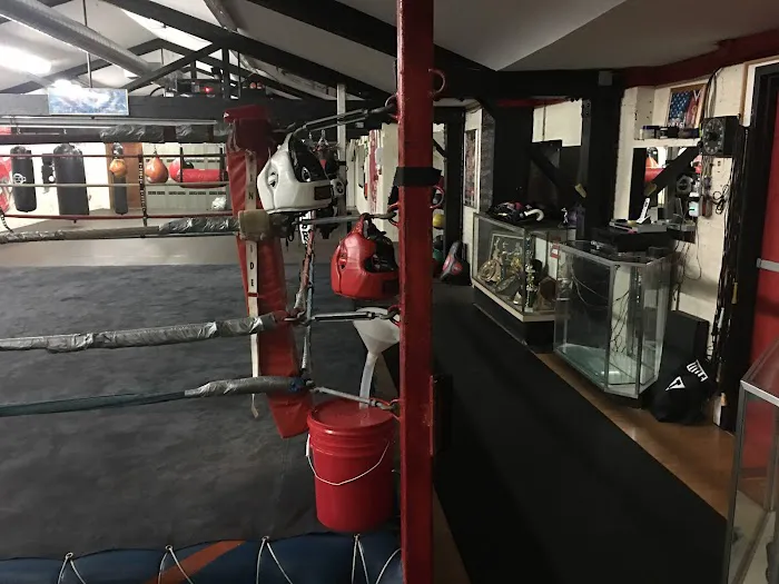 JINJI BOXING CLUB Picture 4