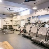 Shana Fit ico
