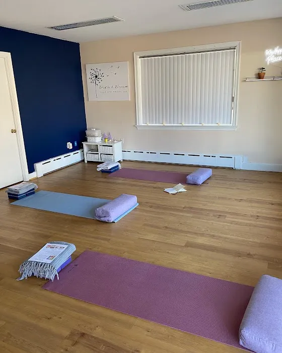 Embodyment Wellness Studio Picture 1