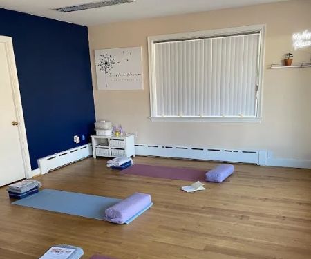 Embodyment Wellness Studio