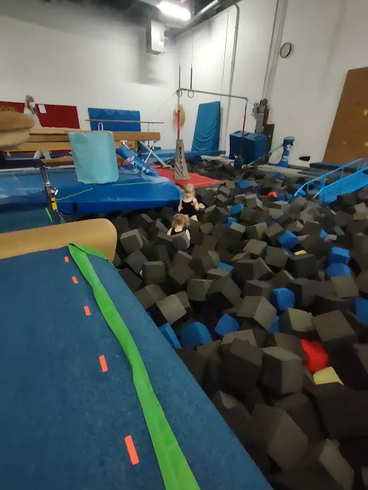 Fusion Gymnastics Center Picture 7