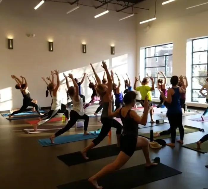 Evolution Yoga & Wellbeing Picture 3