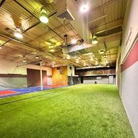 Athletes IQ Institute ico