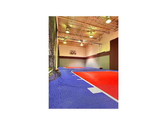 Athletes IQ Institute Picture 6