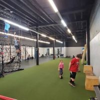 Viper Fitness athletics ico
