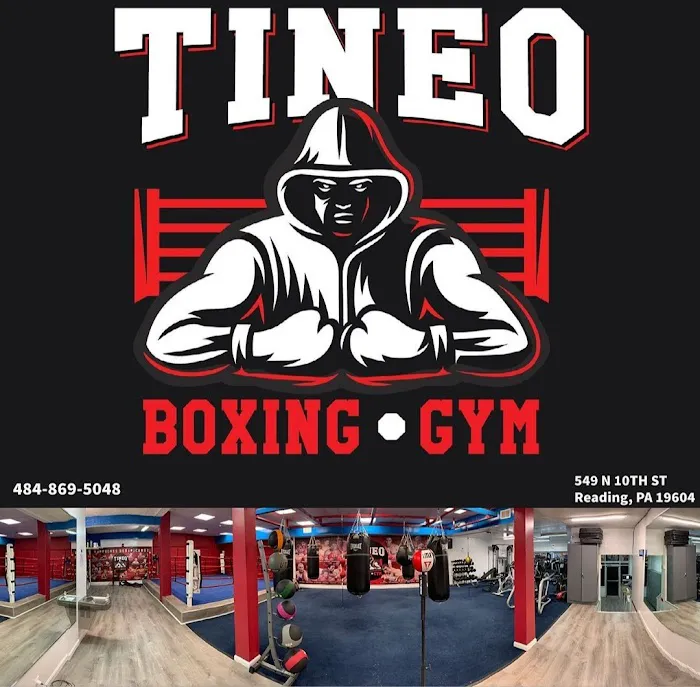 Tineo Boxing Gym Picture 1