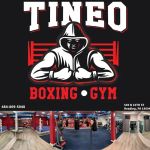 Tineo Boxing Gym