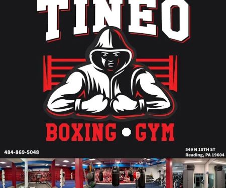 Tineo Boxing Gym