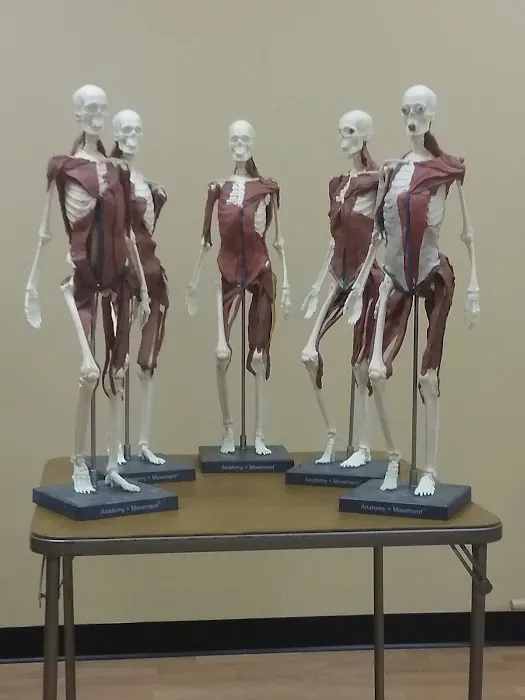 Pilates Core Center Picture 9