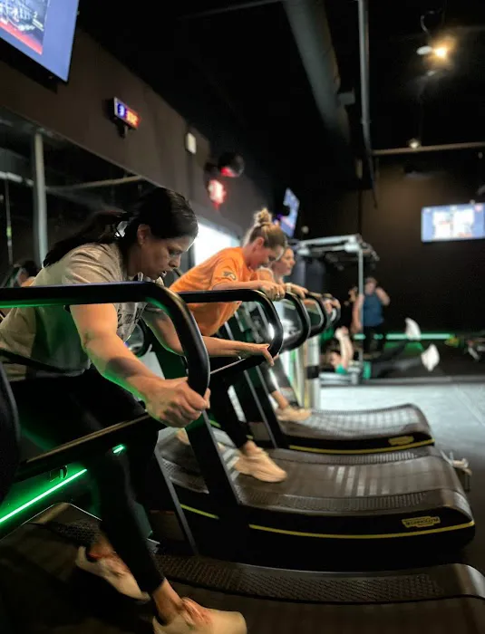 Alpha Fit Club Picture 5