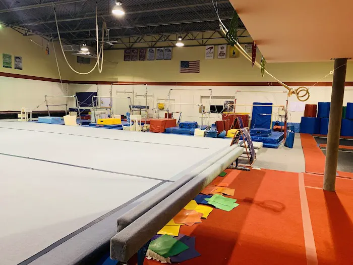 The Gymnastics & Cheerleading Academy Picture 2